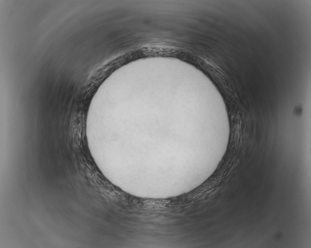 X0000115100870200912081256