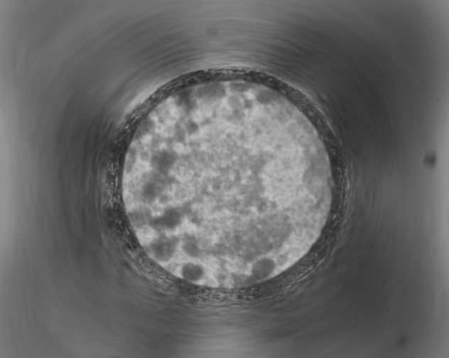 X0000115100871200912081256