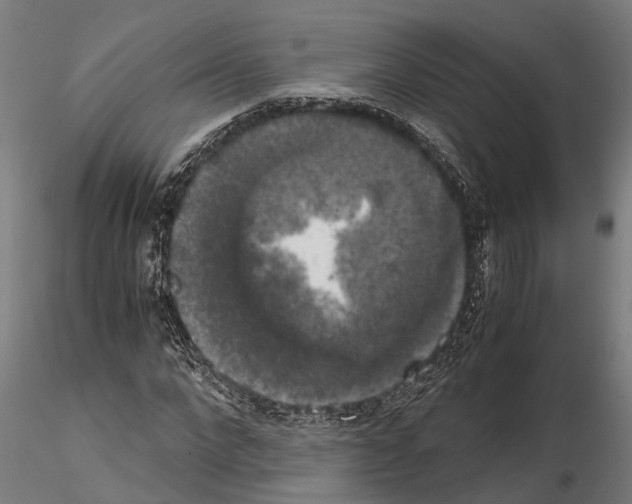 X0000115100872200912081256