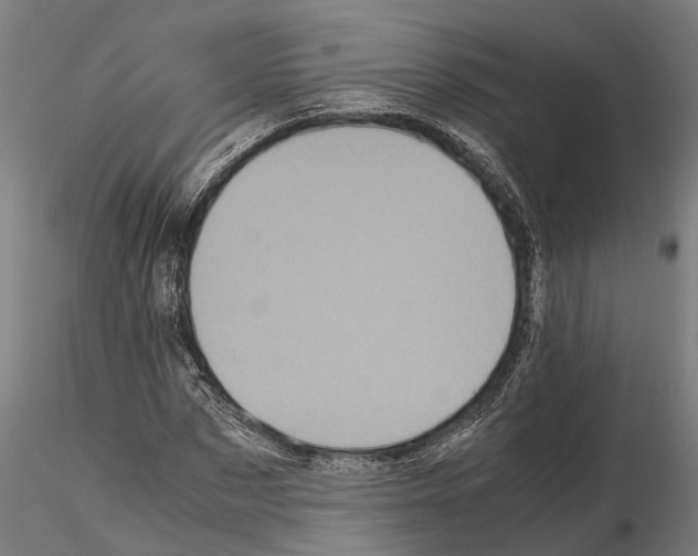 X0000115100873200912081256