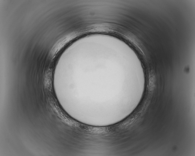 X0000115100874200912081256