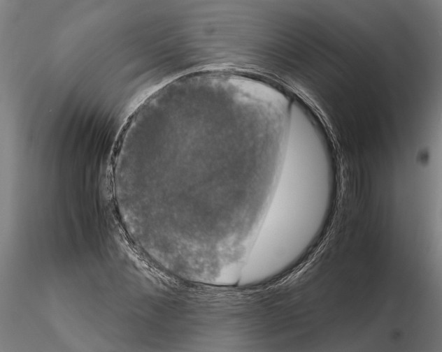 X0000115100876200912081256