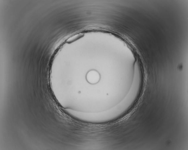 X0000115100877200912081256