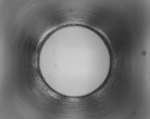 X0000115100878200912081256