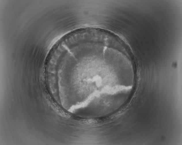 X0000115100879200912081256