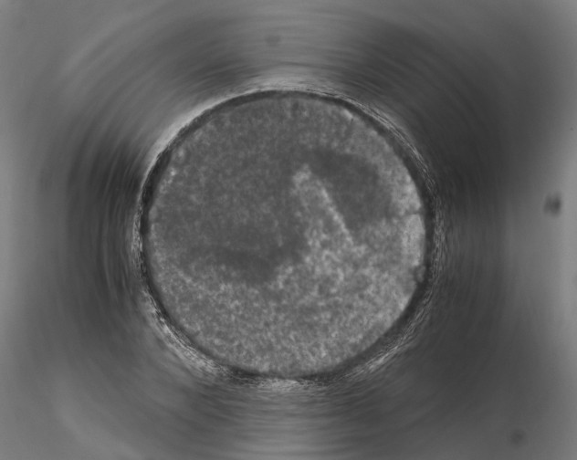 X0000115100880200912081256