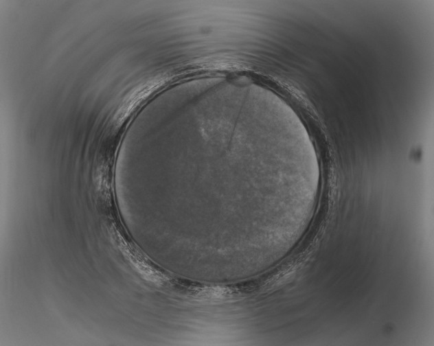 X0000115100881200912081256