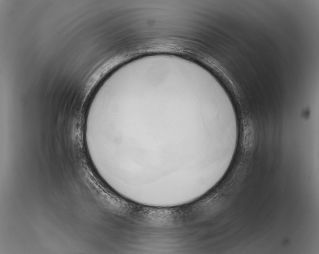 X0000115100882200912081256