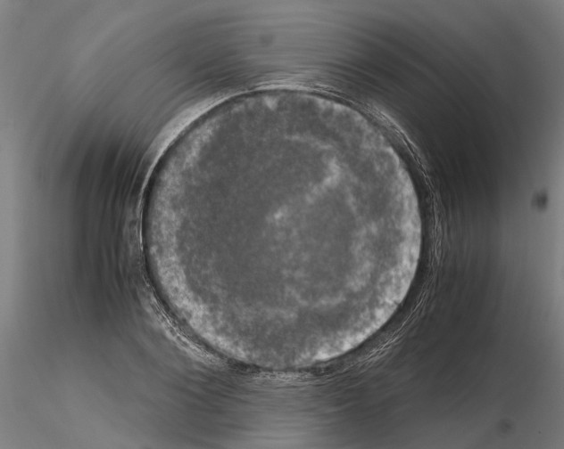 X0000115100884200912081256