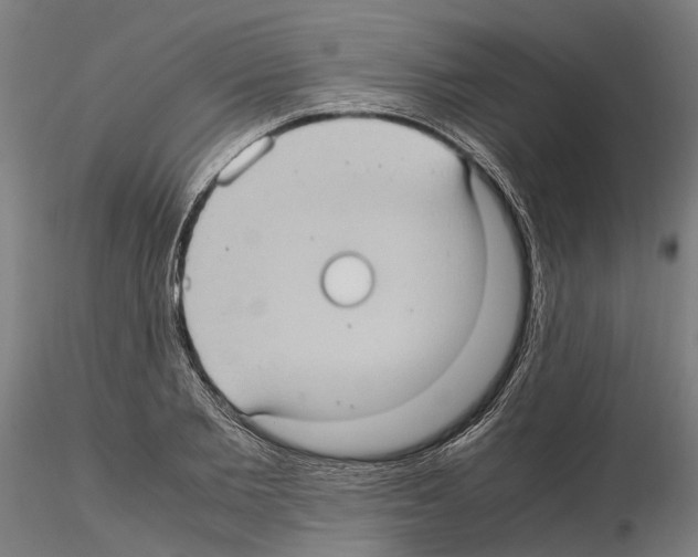 X0000115100885200912081256