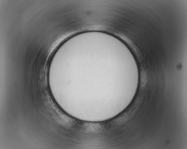 X0000115100886200912081256