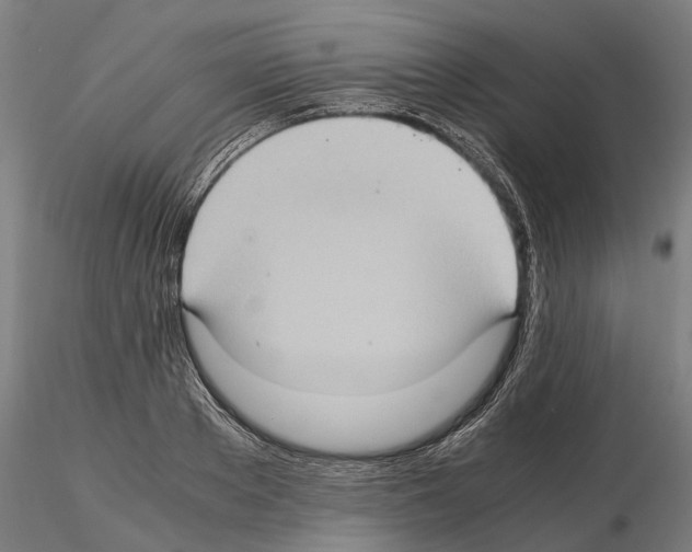 X0000115100889200912081256