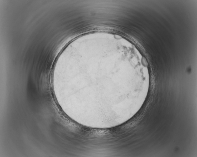 X0000115100891200912081256