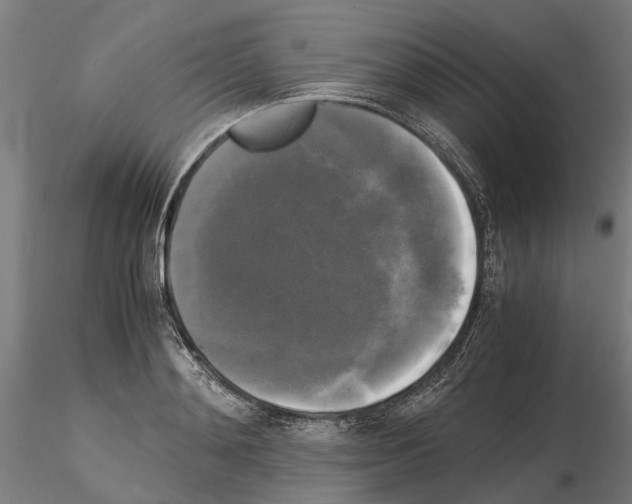 X0000115100892200912081256