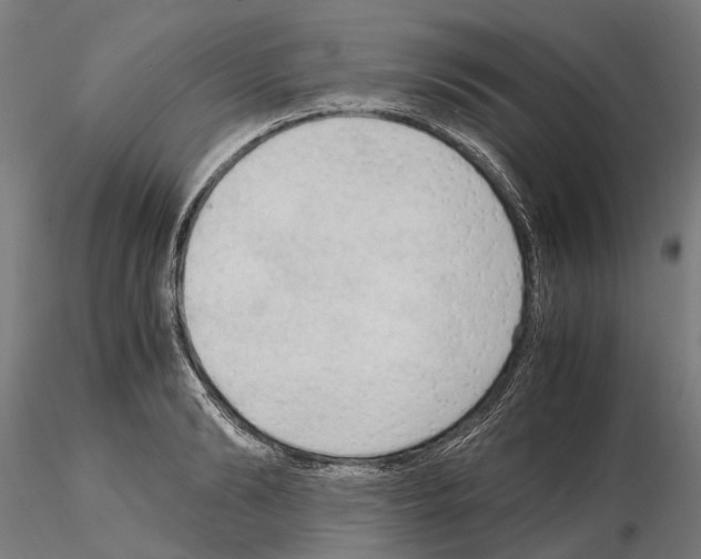 X0000115100894200912081256