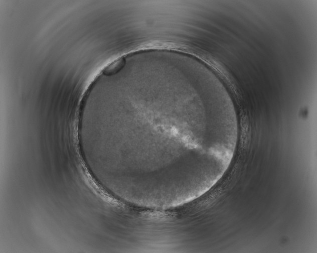 X0000115100896200912081256