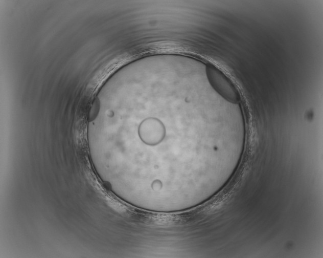 X0000115100897200912081256