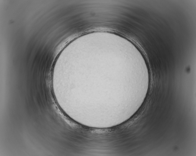 X0000115100898200912081256