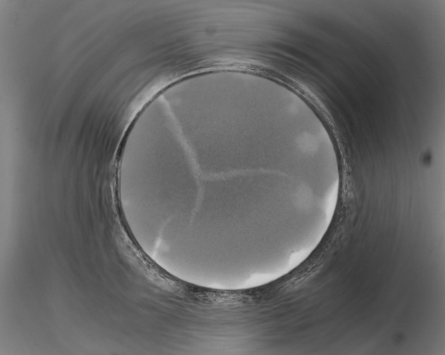 X0000115100899200912081256