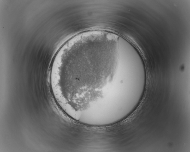 X0000115100900200912081256