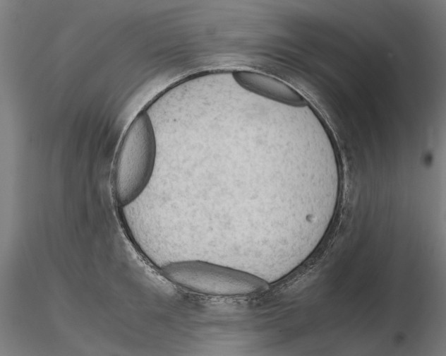 X0000115100901200912081256