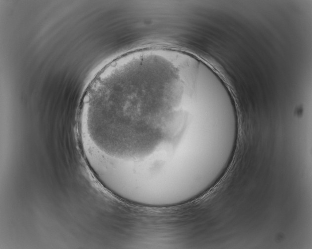 X0000115100904200912081256