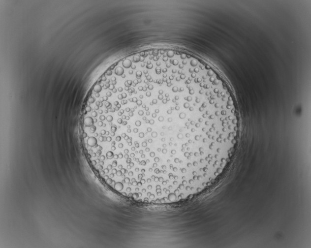 X0000115100906200912081256