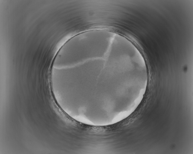 X0000115100907200912081256