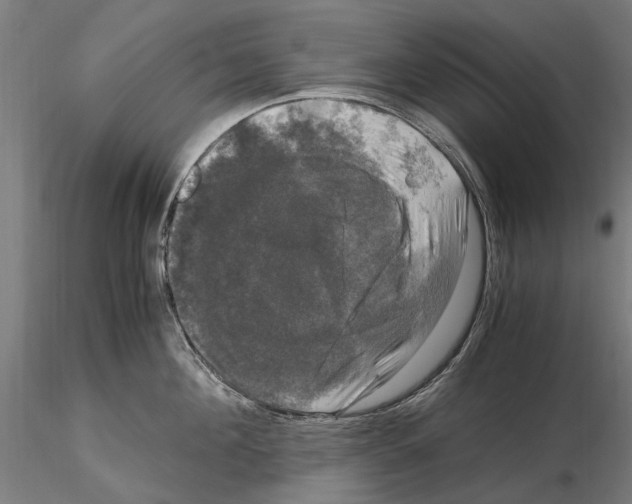 X0000115100908200912081256