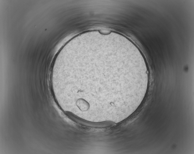 X0000115100909200912081256