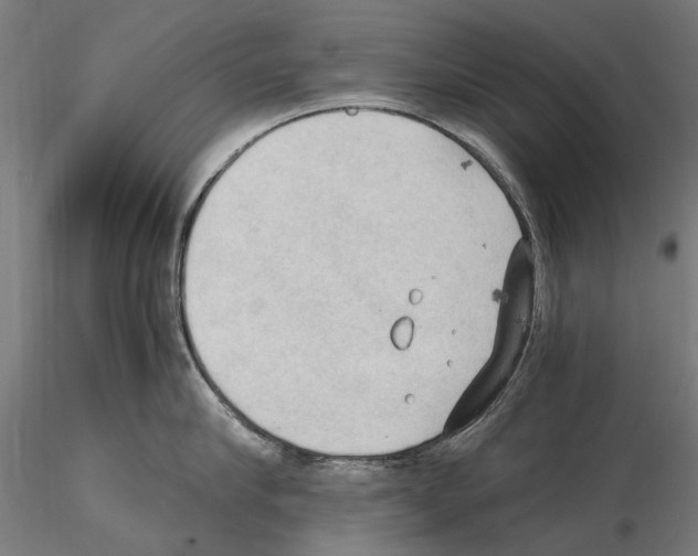 X0000115100910200912081256