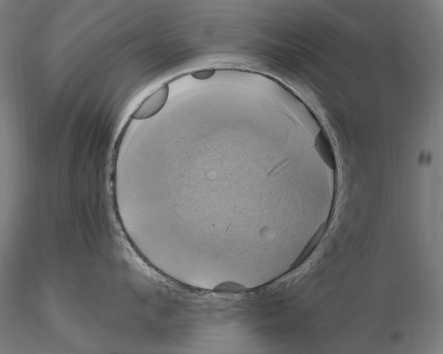 X0000115100912200912081256