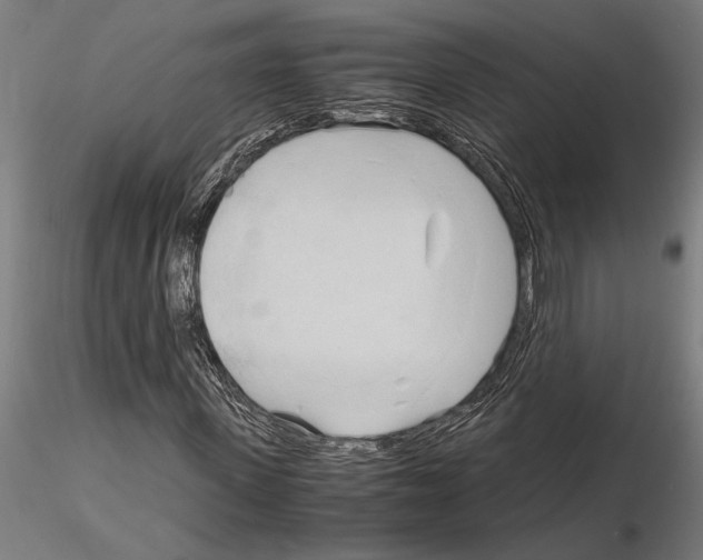 X0000115100915200912081255