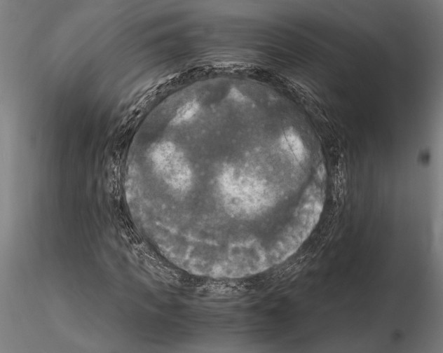 X0000115100917200912081255