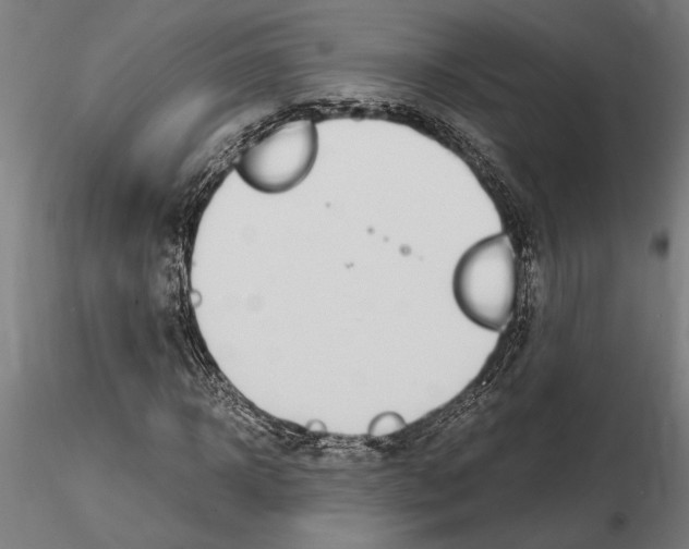 X0000115100918200912081255