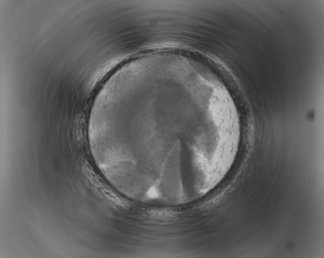 X0000115100921200912081255