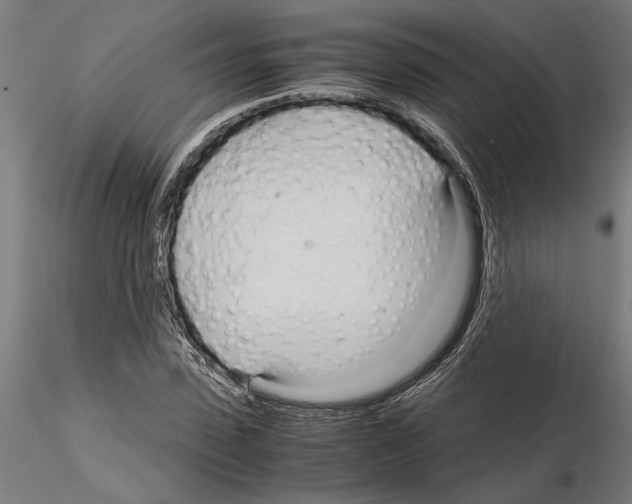 X0000115100923200912081255