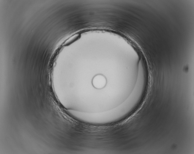 X0000115100925200912081255