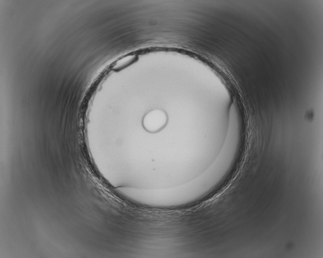 X0000115100926200912081255