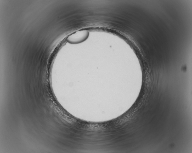 X0000115100927200912081255