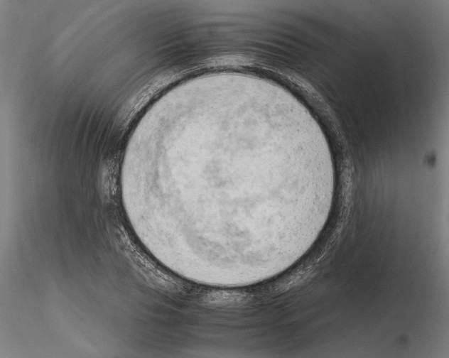 X0000115100929200912081255