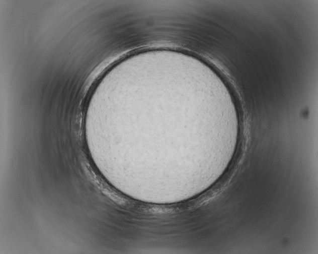 X0000115100933200912081255