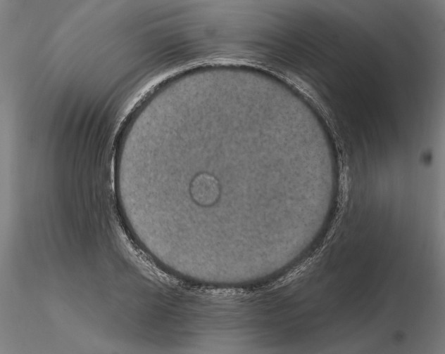 X0000115100934200912081255