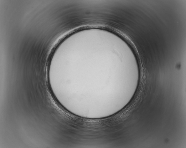 X0000115100935200912081255