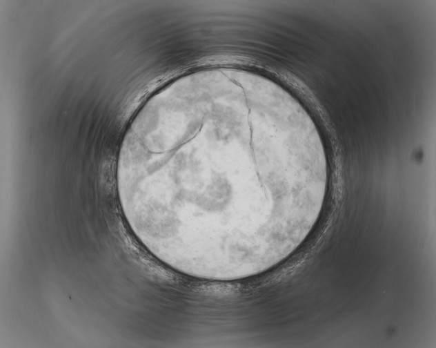 X0000115100937200912081255