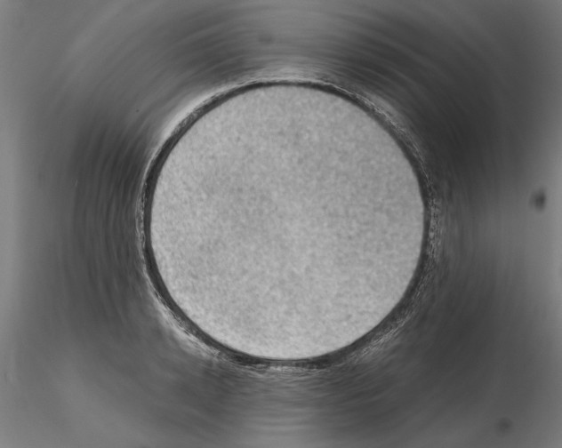 X0000115100942200912081255