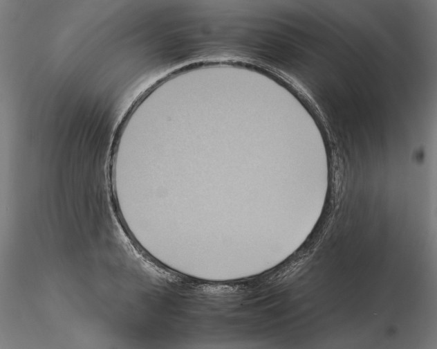 X0000115100943200912081255