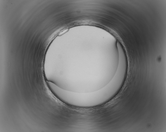 X0000115100946200912081255