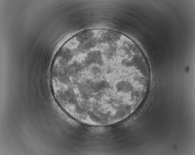 X0000115100949200912081255