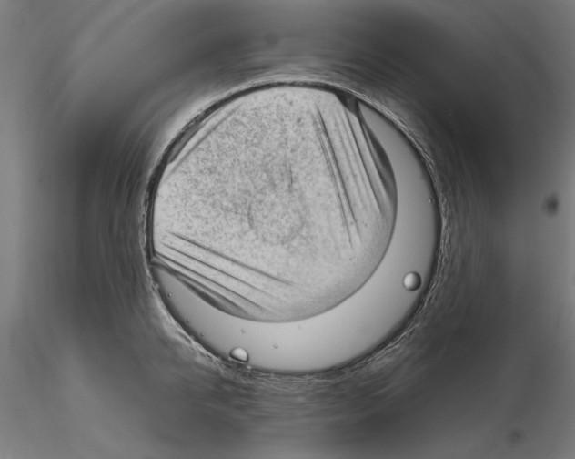 X0000115100950200912081255